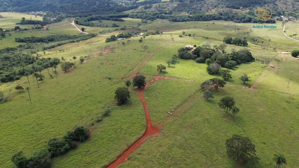 Terreno, 2 hectares - Foto 9