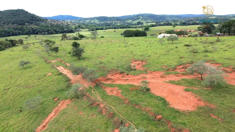 Terreno, 2 hectares - Foto 7