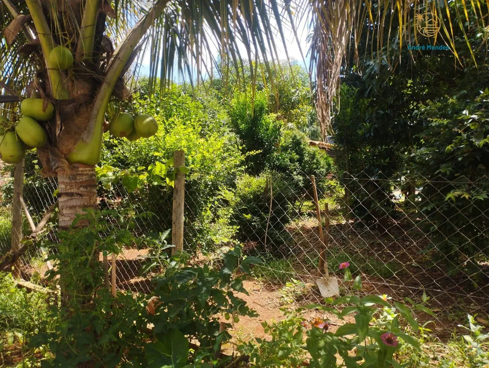 Chácara, 5 quartos, 200 m² - Foto 6