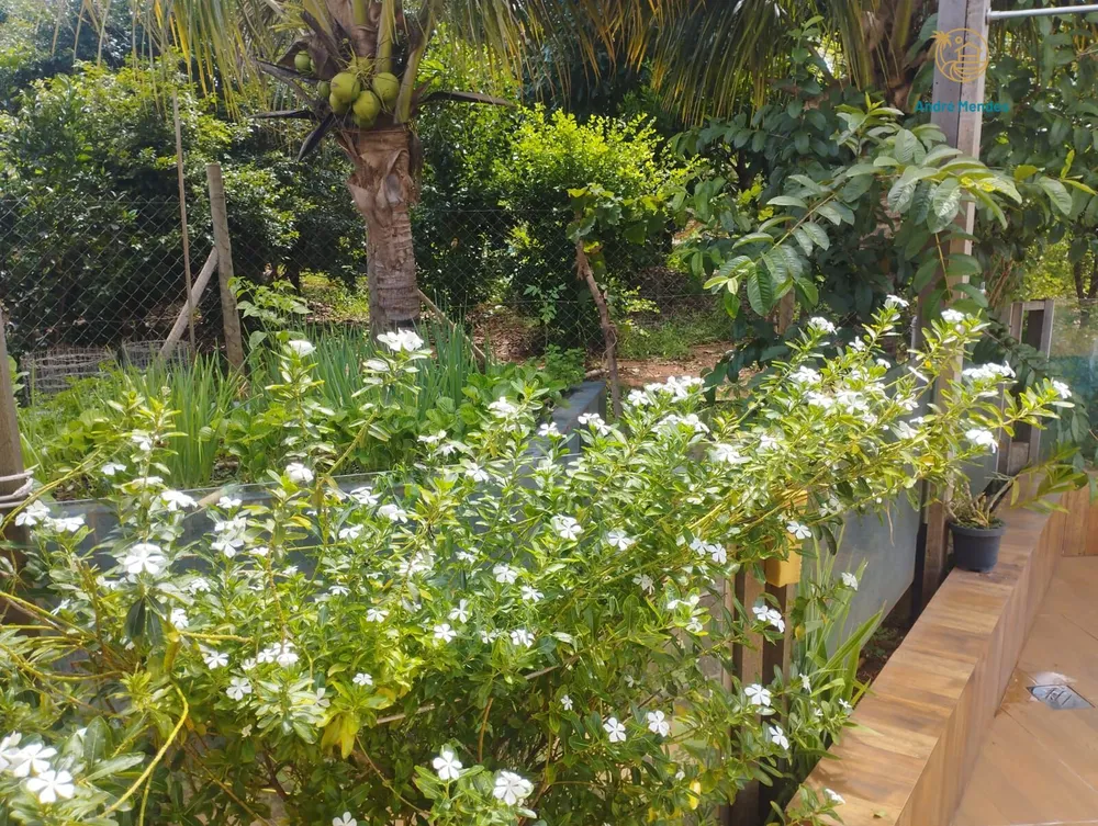 Chácara, 5 quartos, 200 m² - Foto 7