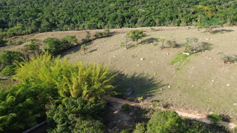 Sítio, 4000 m² - Foto 11