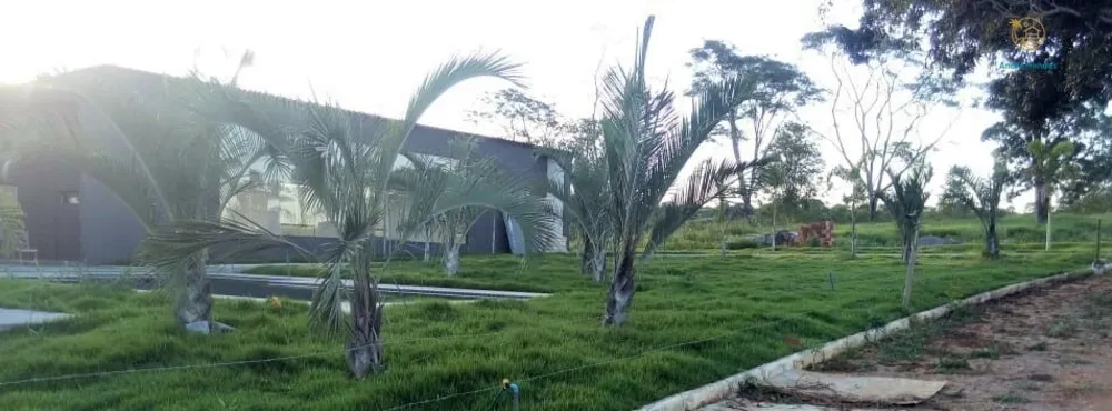 Terreno, 5000 m² - Foto 6
