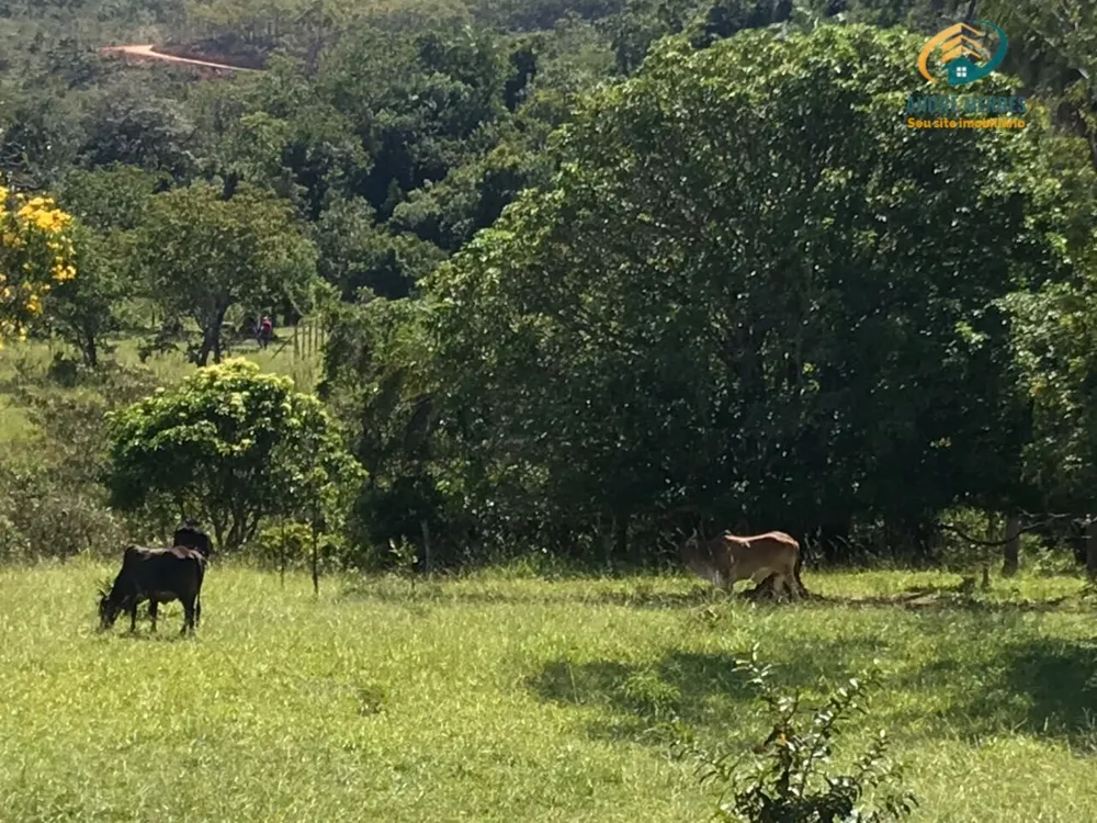 Terreno, 2 hectares - Foto 13