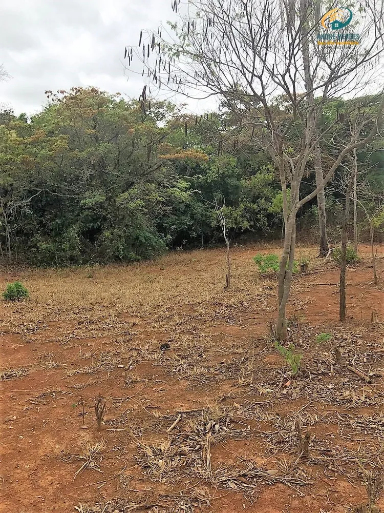 Terreno, 2 hectares - Foto 14