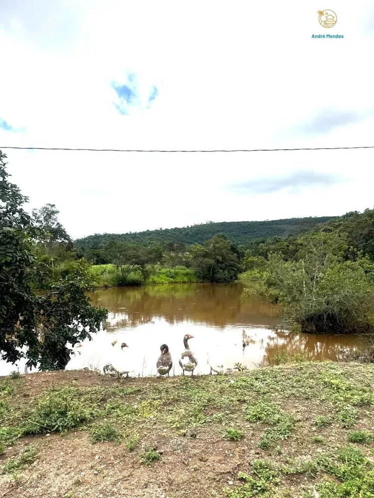 Chácara, 3 quartos, 3 hectares - Foto 8