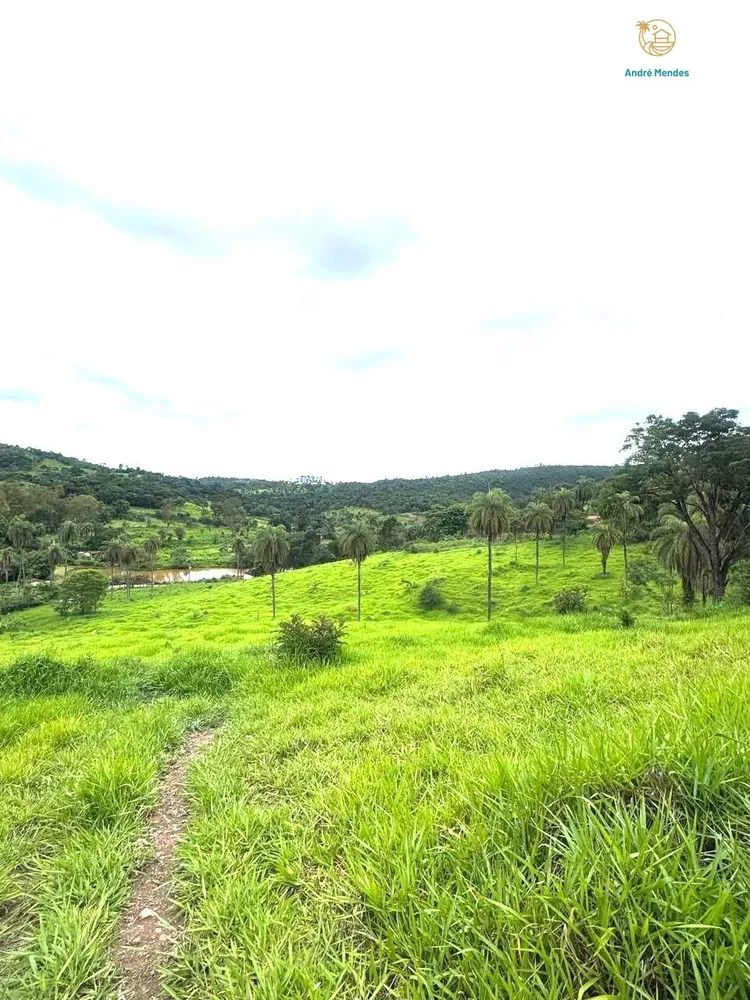 Chácara, 3 quartos, 3 hectares - Foto 7