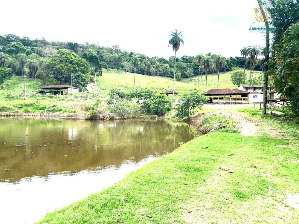 Chácara, 3 quartos, 3 hectares - Foto 6