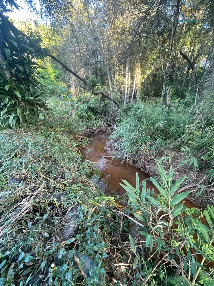 Terreno, 1500 m² - Foto 7
