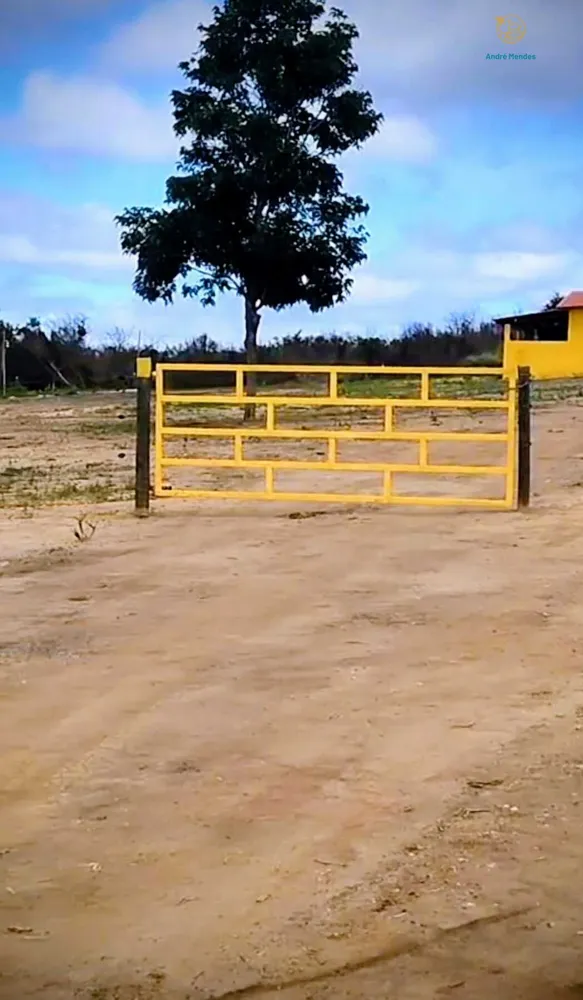 Fazenda, 2200 hectares - Foto 8