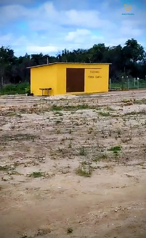 Fazenda, 2200 hectares - Foto 6