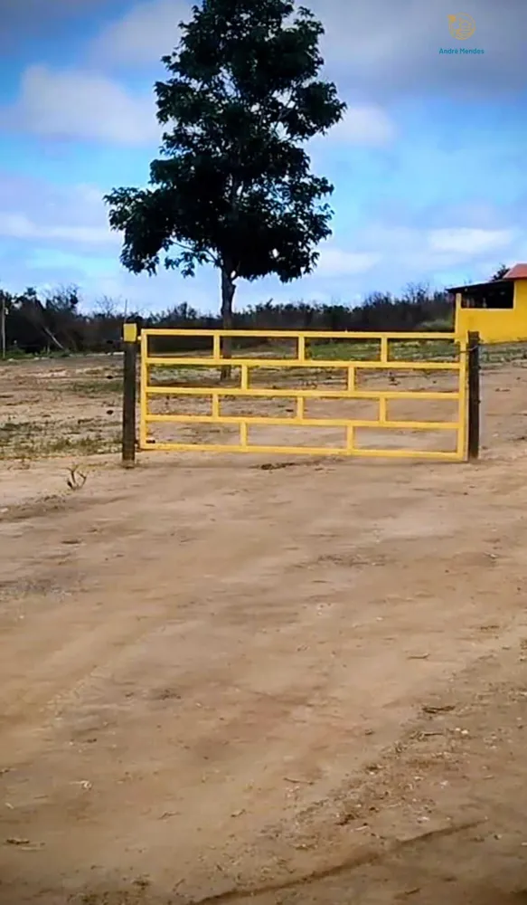 Fazenda, 2200 hectares - Foto 9