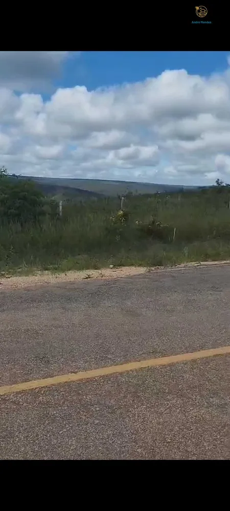 Fazenda, 2200 hectares - Foto 4