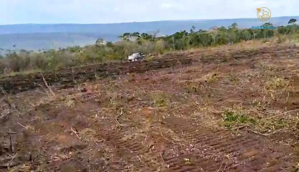 Fazenda, 2200 hectares - Foto 10