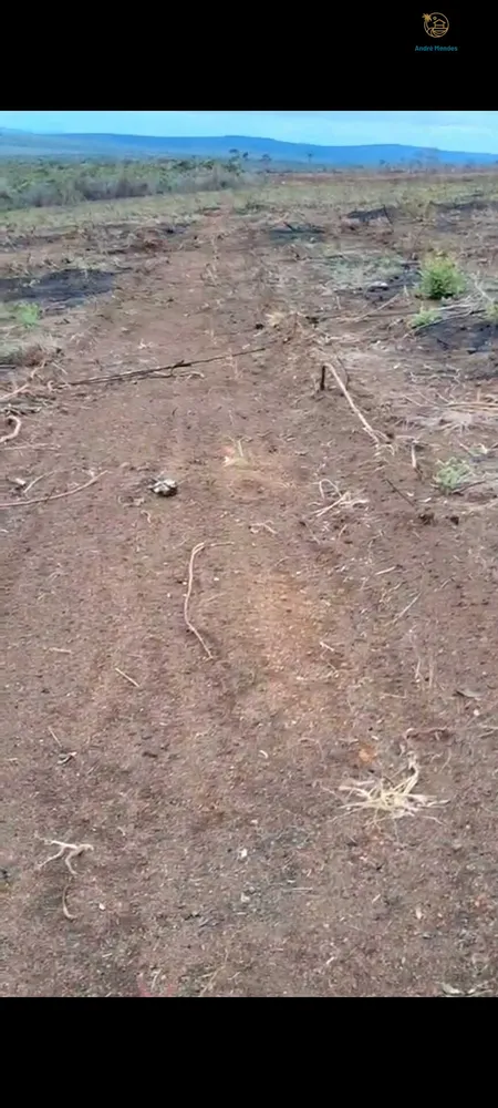 Fazenda, 2200 hectares - Foto 12