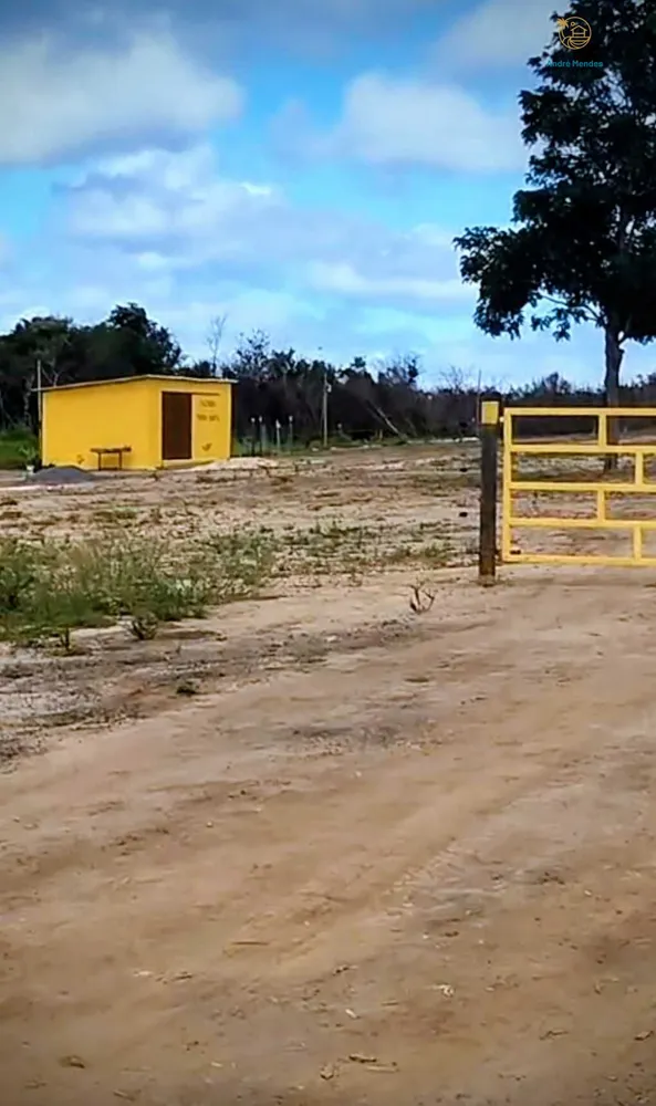 Fazenda, 2200 hectares - Foto 7
