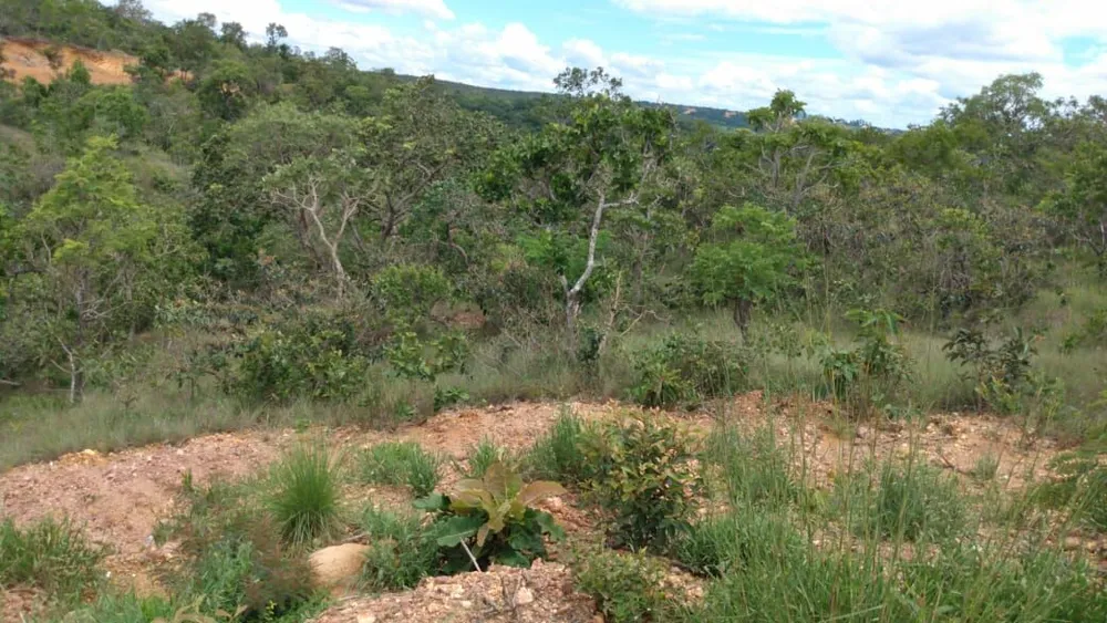 Terreno, 500 m² - Foto 10