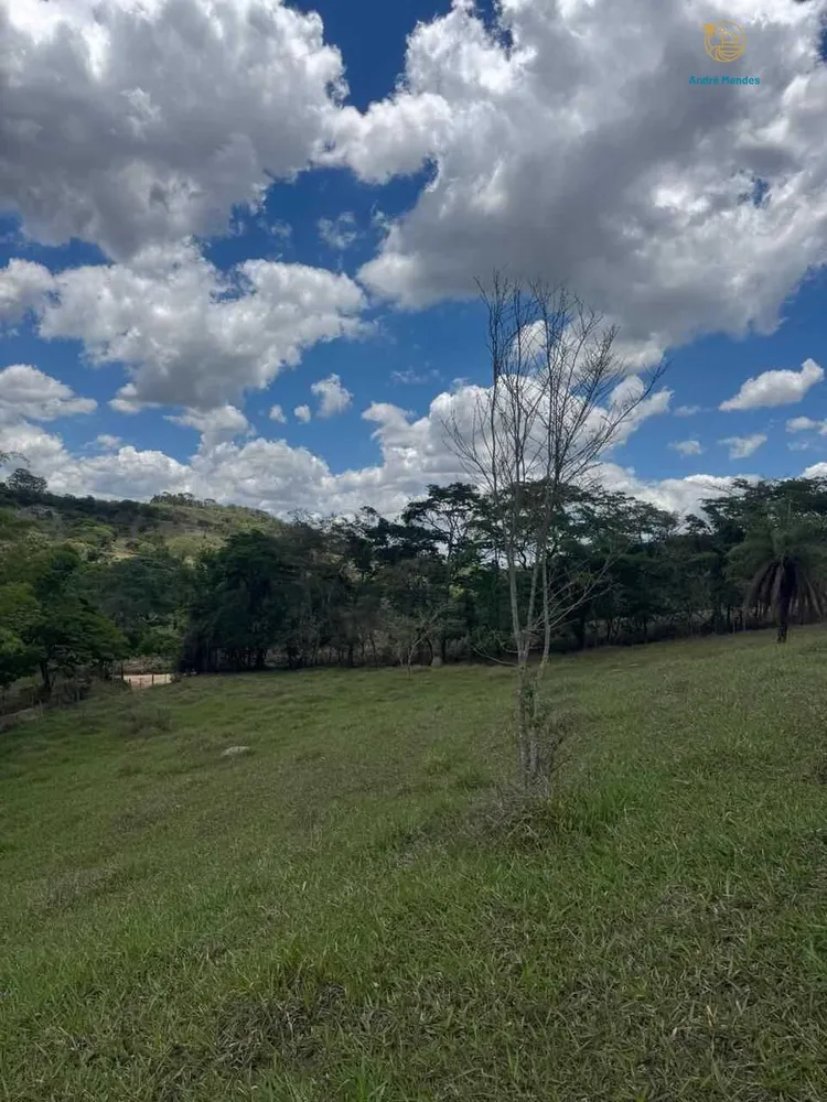 Terreno, 4000 m² - Foto 7