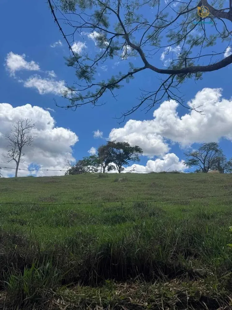 Terreno, 4000 m² - Foto 12