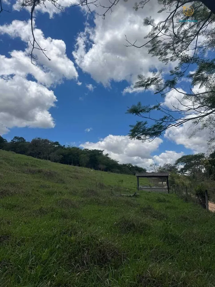 Terreno, 4000 m² - Foto 11