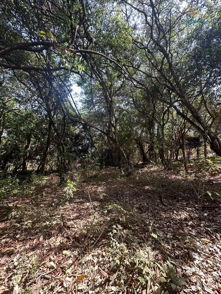 Chácara, 3900 m² - Foto 4