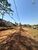 Chácara, 3900 m² - Foto 3