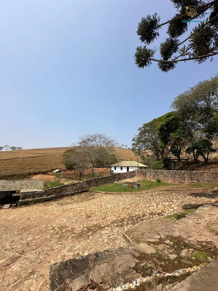 Fazenda, 54 hectares - Foto 10