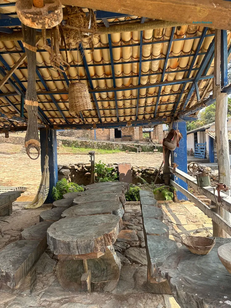 Fazenda, 54 hectares - Foto 15