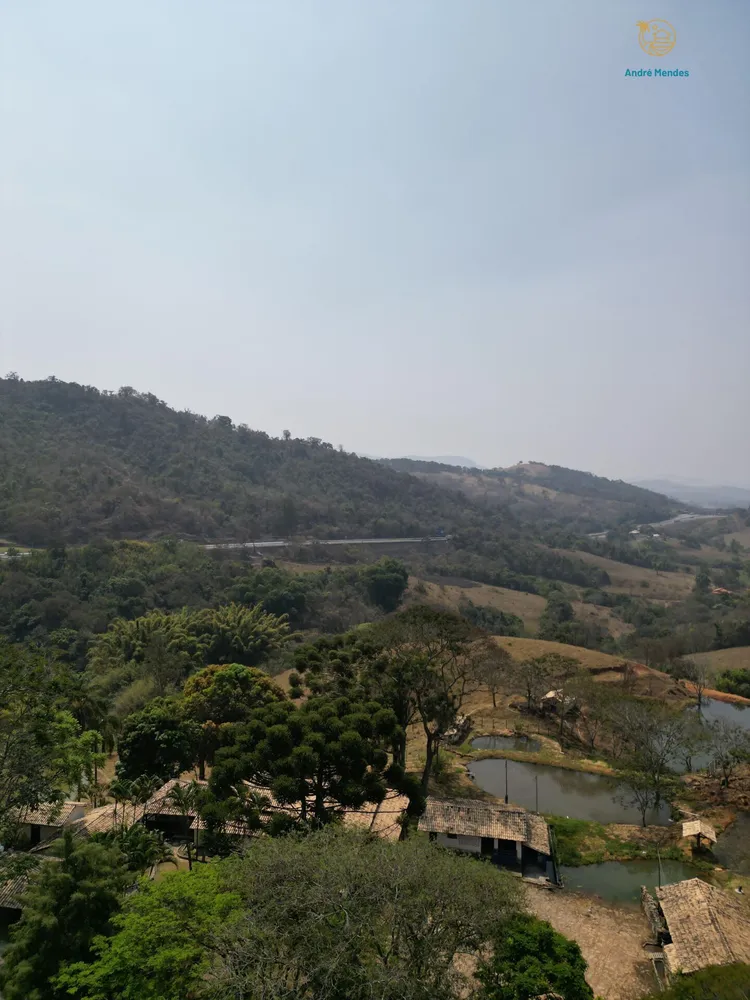 Fazenda, 54 hectares - Foto 8