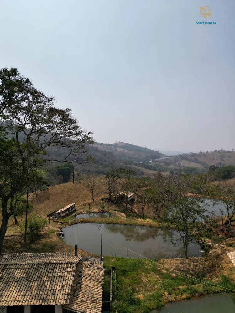 Fazenda, 54 hectares - Foto 12