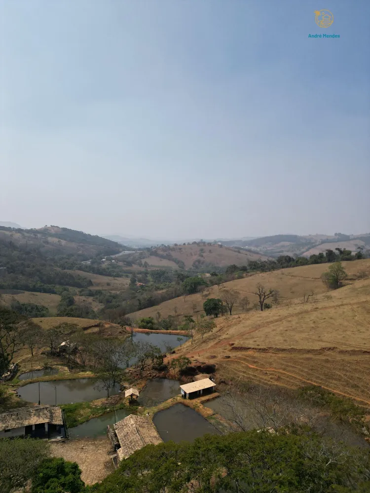 Fazenda, 54 hectares - Foto 6