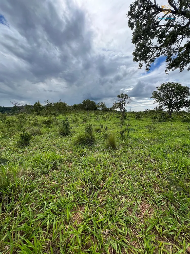 Terreno, 2 hectares - Foto 8