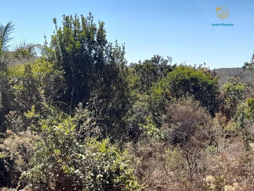 Terreno, 2 hectares - Foto 16