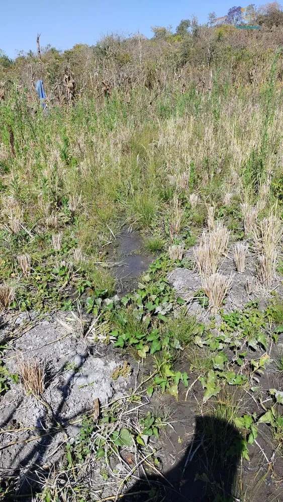 Terreno, 2 hectares - Foto 10