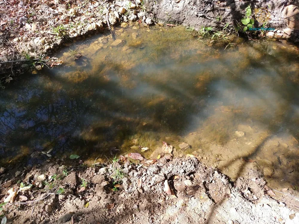 Terreno, 2 hectares - Foto 12