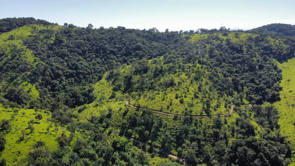 Terreno, 2 hectares - Foto 12