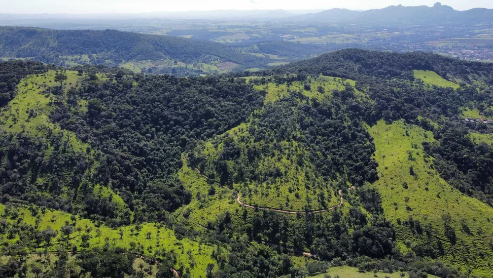 Terreno, 2 hectares - Foto 6