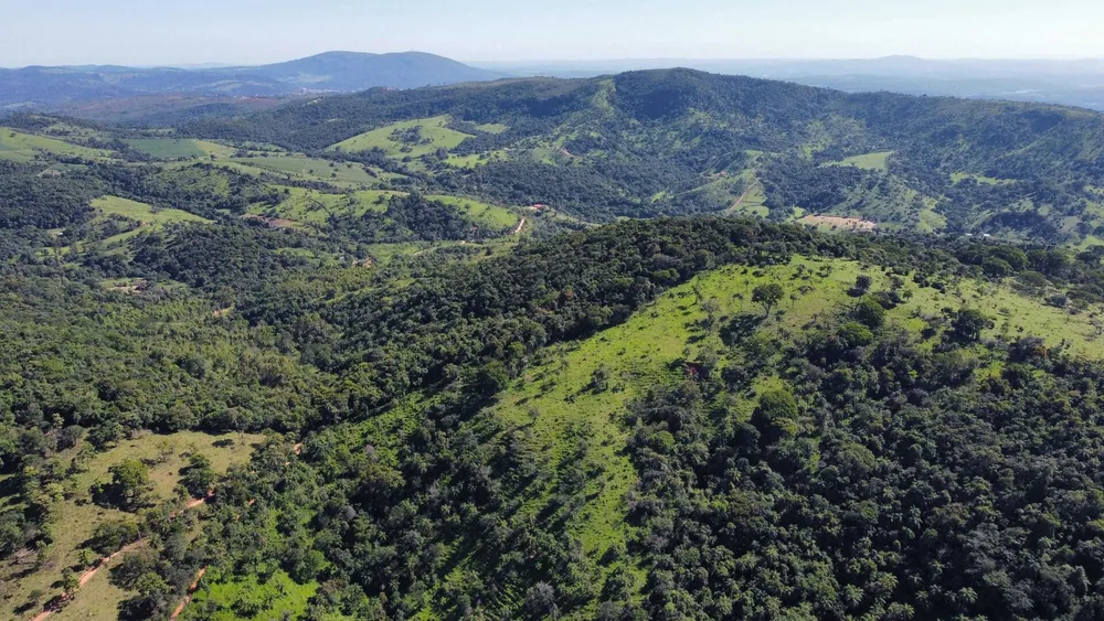 Terreno, 2 hectares - Foto 8