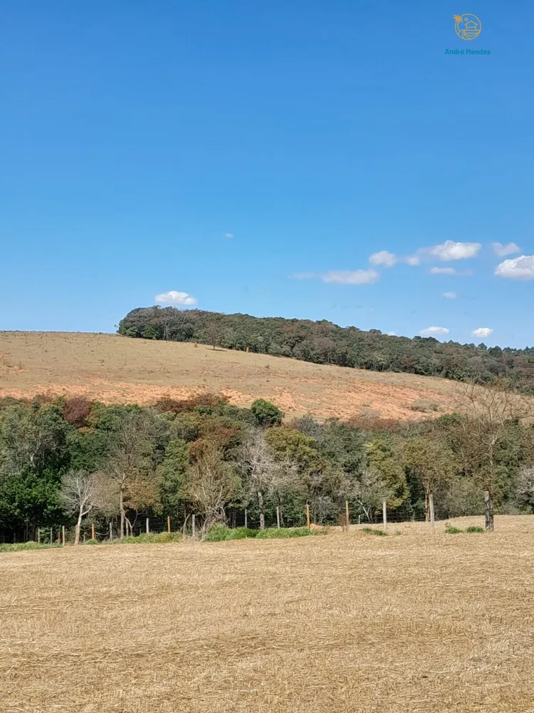Fazenda, 97 hectares - Foto 16
