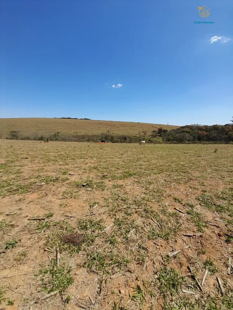 Fazenda, 97 hectares - Foto 12