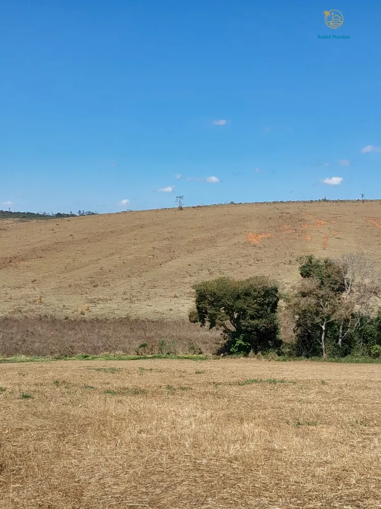 Fazenda, 97 hectares - Foto 6