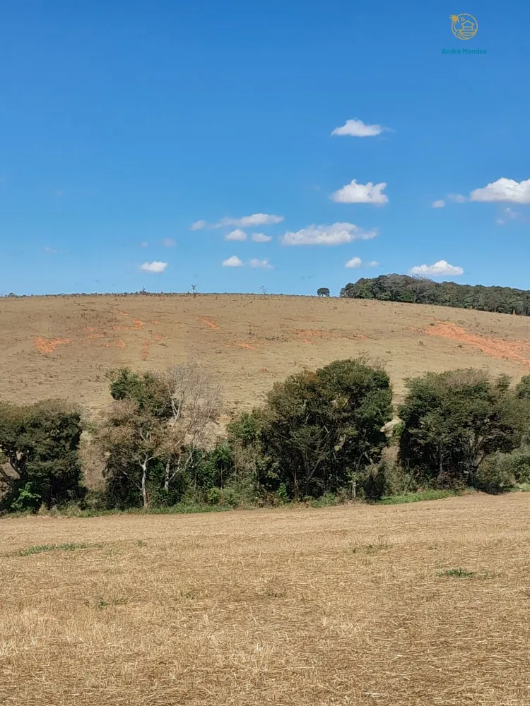 Fazenda, 97 hectares - Foto 7