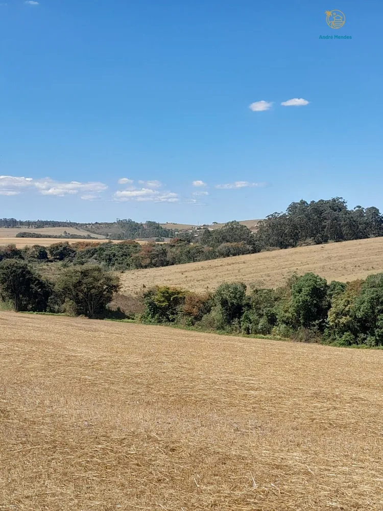 Fazenda, 97 hectares - Foto 9