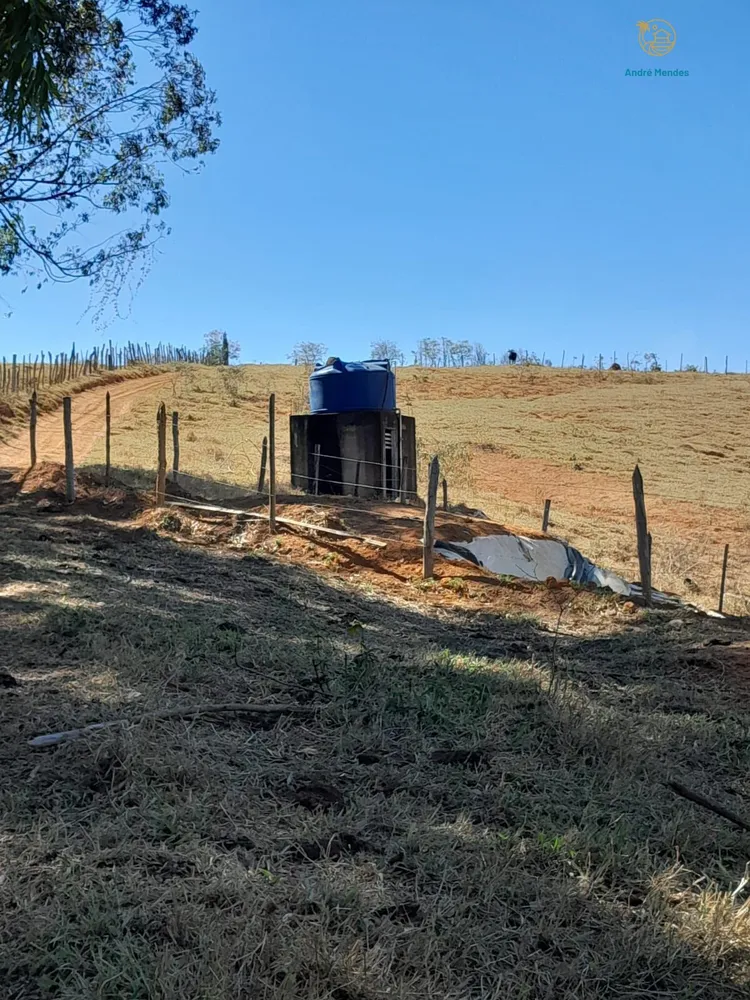 Fazenda, 97 hectares - Foto 8