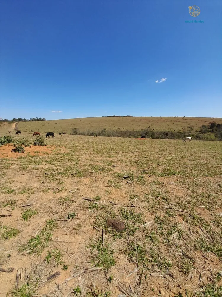 Fazenda, 97 hectares - Foto 11