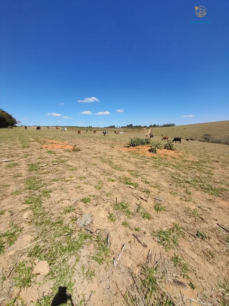 Fazenda, 97 hectares - Foto 13