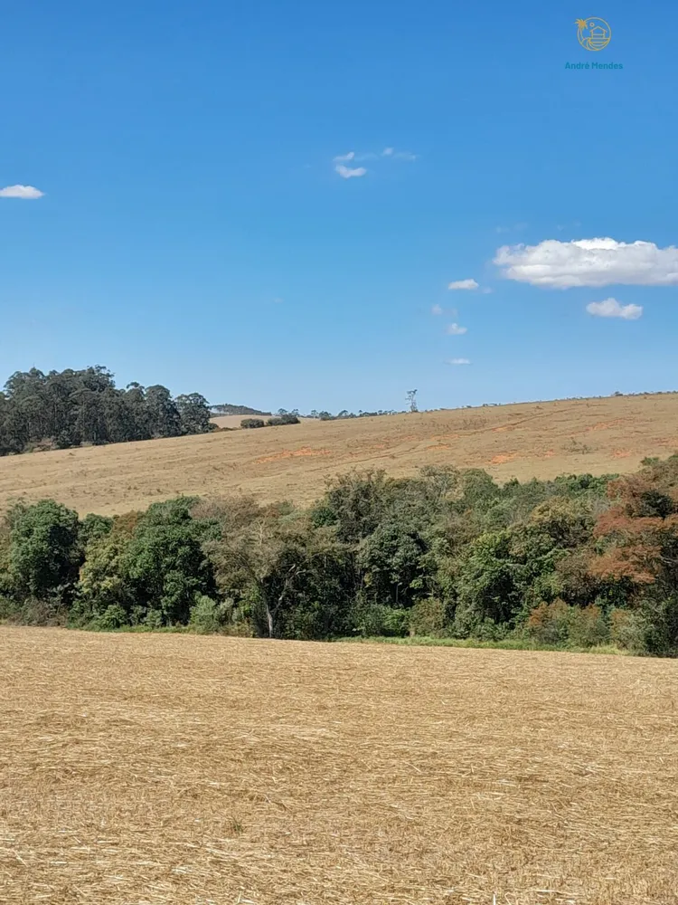 Fazenda, 97 hectares - Foto 15