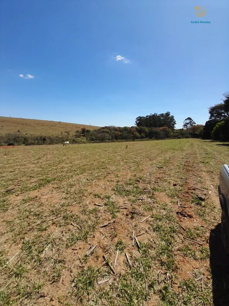 Fazenda, 97 hectares - Foto 10