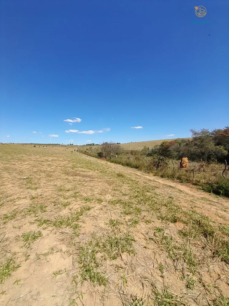 Fazenda, 97 hectares - Foto 3