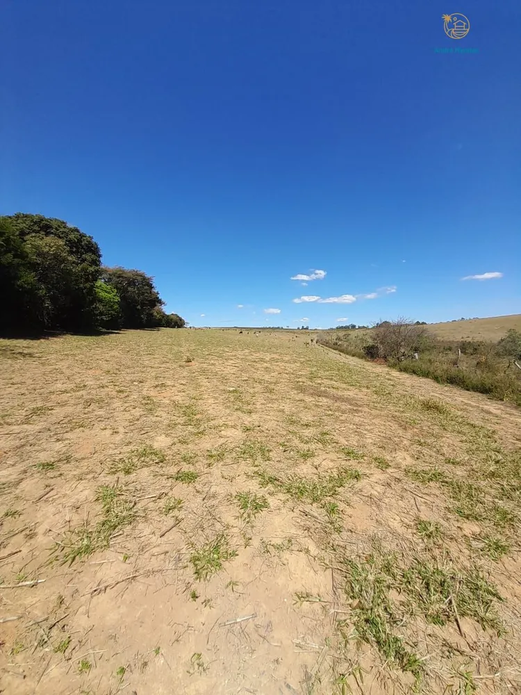 Fazenda, 97 hectares - Foto 14