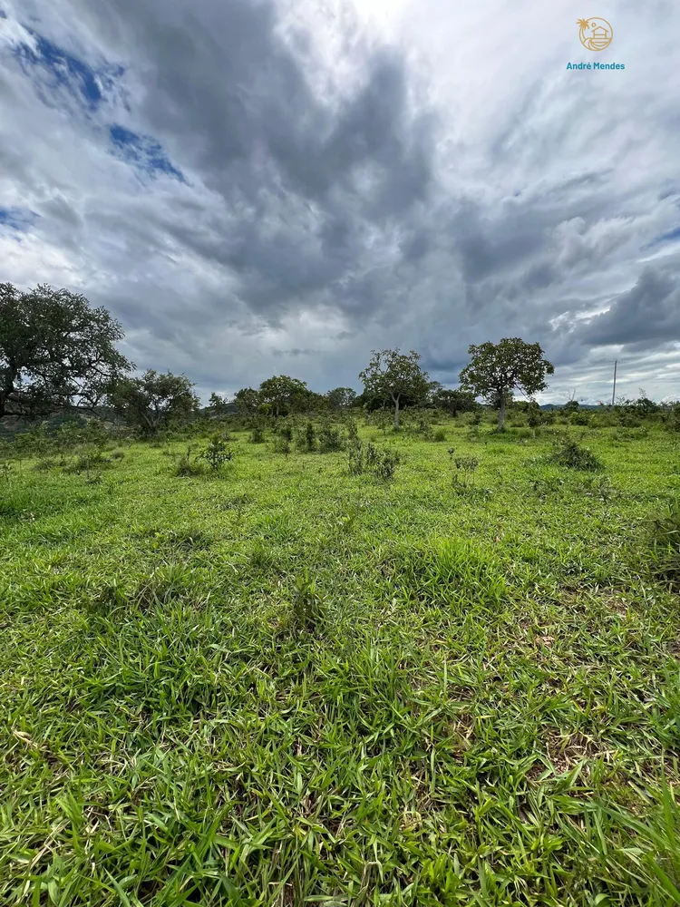 Terreno, 2 hectares - Foto 12